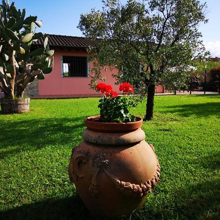 Caise Villa Castelnuovo Magra Exteriör bild